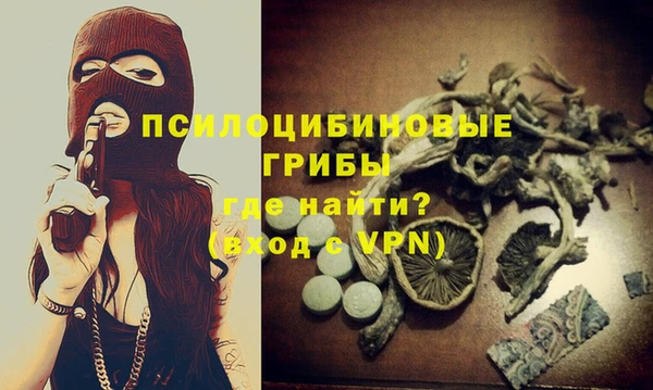ПСИЛОЦИБИНОВЫЕ ГРИБЫ Балабаново