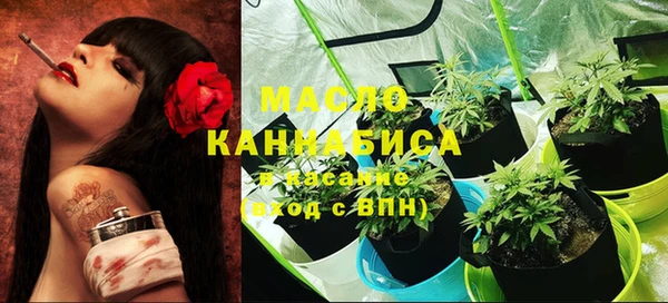 индика Баксан