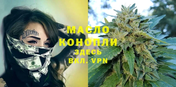 индика Баксан