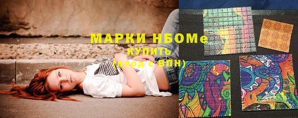индика Баксан