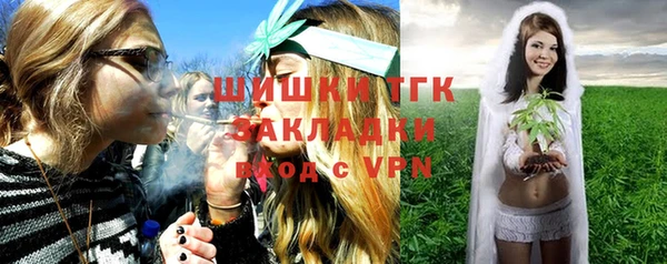 индика Баксан