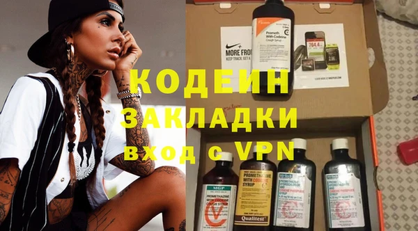 индика Баксан