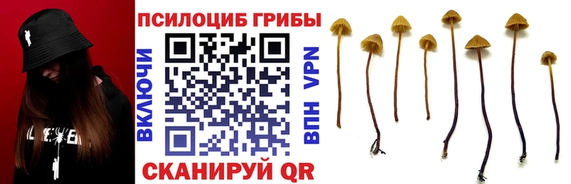 Псилоцибиновые грибы ЛСД  купить  цена  Лаишево 
